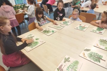 Učíme se poznávat stromy a jejich plody