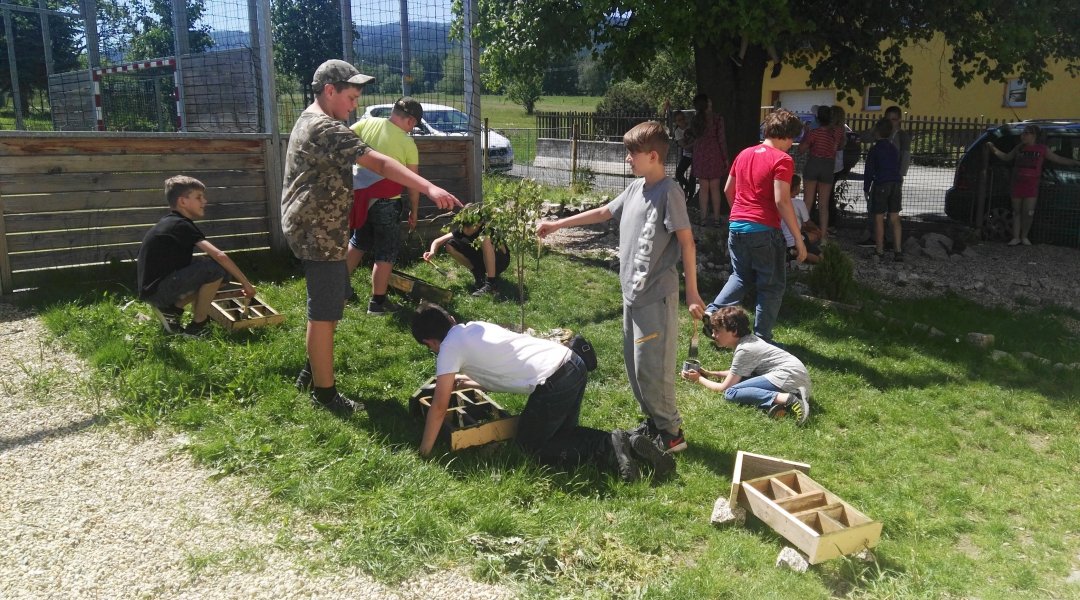 Pracovní výchova venku