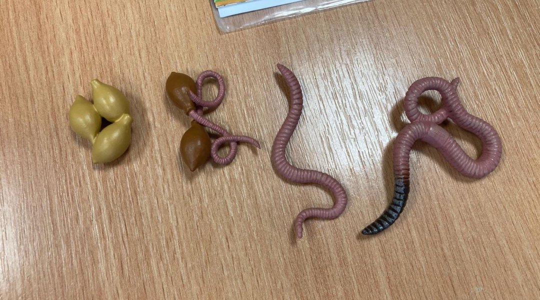 Objevujeme přírodu