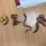 Objevujeme přírodu