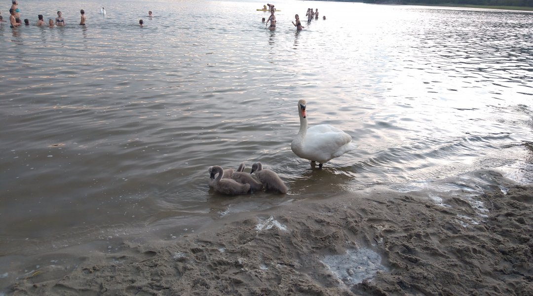 Škola v přírodě - den třetí