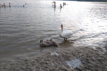 Škola v přírodě - den třetí