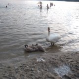 Škola v přírodě - den třetí