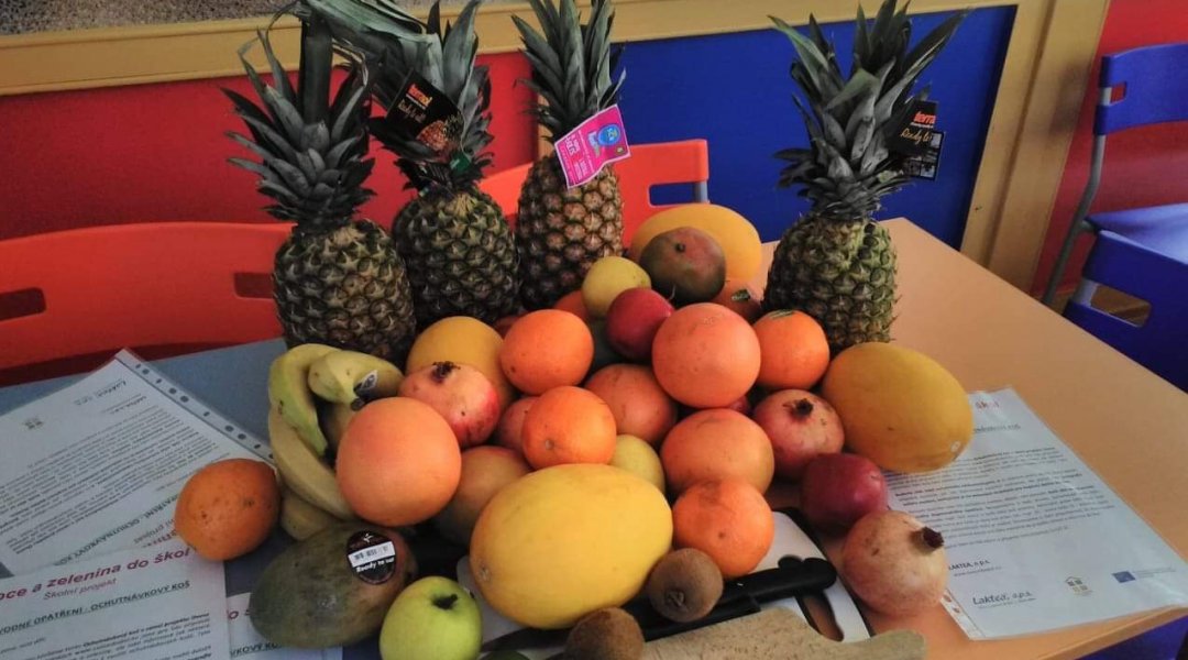 Ochutnávka ovoce a mléčných výrobků