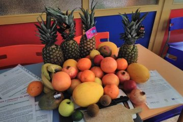 Ochutnávka ovoce a mléčných výrobků