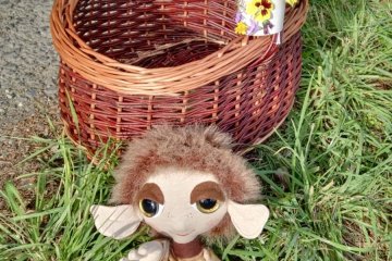 První učení venku