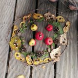 Pracovní výchova na školní zahradě