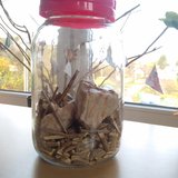 Nový indikátor štěstí