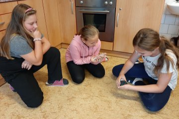 Jak se nám dnes učilo?