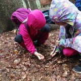 Den semínek - právě teď je čas jejich dozrávání