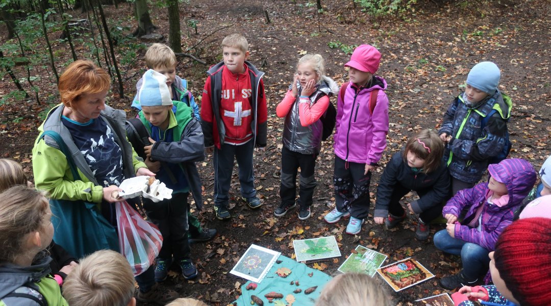 Rok v přírodě - PODZIM