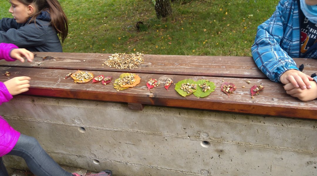 Učíme venku - hudební výchova