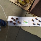 Pondělní matematika venku a trochu pizzy za odměnu