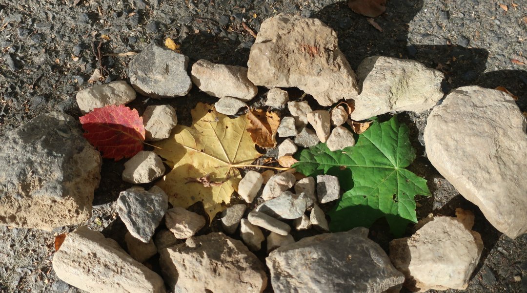 LandArt v Machníně