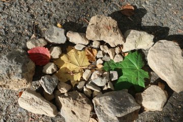 LandArt v Machníně