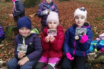 Listopadová výprava do lesa