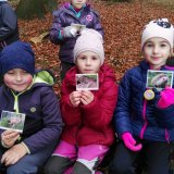 Listopadová výprava do lesa