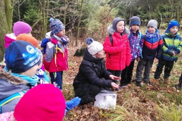 Výprava mezi staré doupné stromy