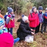 Výprava mezi staré doupné stromy