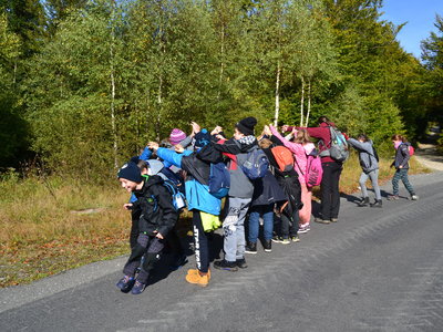 Podbíhaná na cestě u Červeného buku