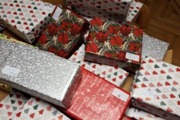 Projekt krabice od bot