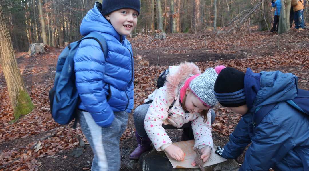 Rok v přírodě - ZIMA