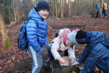 Rok v přírodě - ZIMA