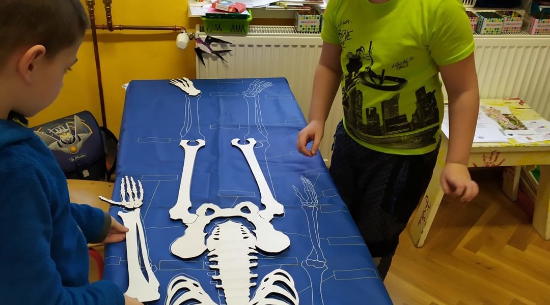 Lidské tělo I. třída