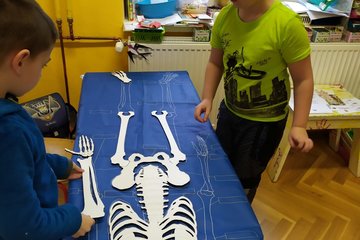 Lidské tělo I. třída