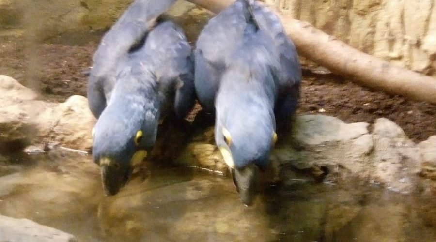 Exkurze v Divizně III. třída