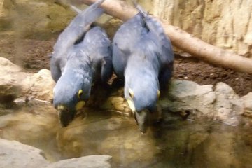 Exkurze v Divizně III. třída