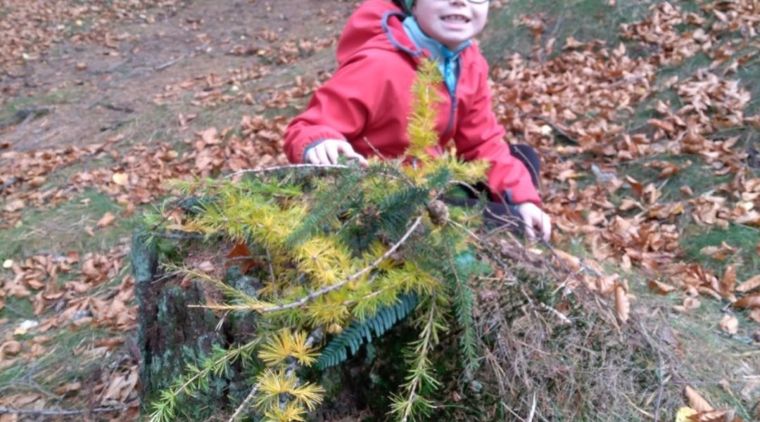 Školní družina během ředitelského volna